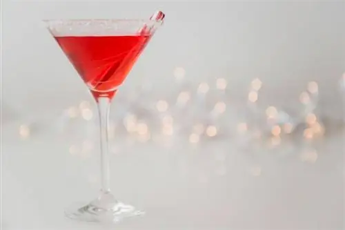 Svētku Candy Cane Martini recepte