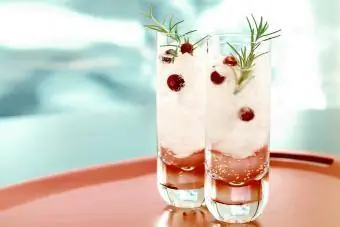 Frosted Cranberry Gin Fizz