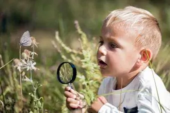 bocah balita melihat kupu-kupu dengan kaca pembesar
