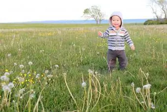 Niño en campo de flores silvestres