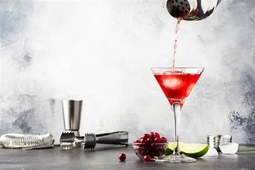 Smooth Cranberry Martini Recipe