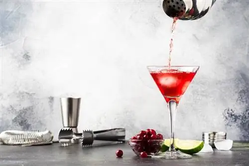 Receta suave de martini de arándanos