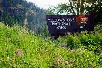 Yellowstone'i rahvuspargi tervitusmärk, mida ümbritsevad mets ja Kaljumäed