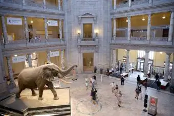 Musée naturel d'histoire naturelle du Smithsonian
