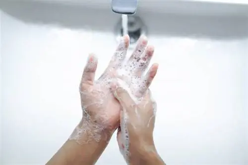 Ordem correta das etapas para lavagem adequada das mãos