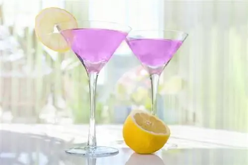 Blue Moon Cocktail -reseptejä, jotka maistuvat yhtä houkuttelev alta kuin näyttävätkin