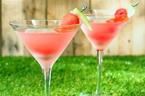 9 Watermeloen Martini-recepten voor een jaar lang een voorproefje van de zomer