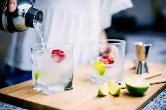 Hacer gin tonic casero