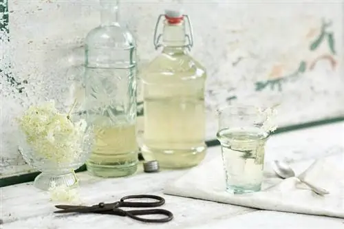 Elderflower Martinis: Isang Mas Mataas na Pagkuha sa Classic