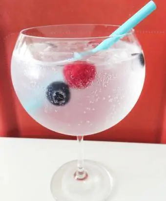 Bublinkový čučoriedkový gin Martini