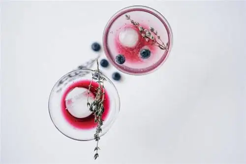 Resep Blueberry Martini Ringan Lezat yang Wajib Anda Coba