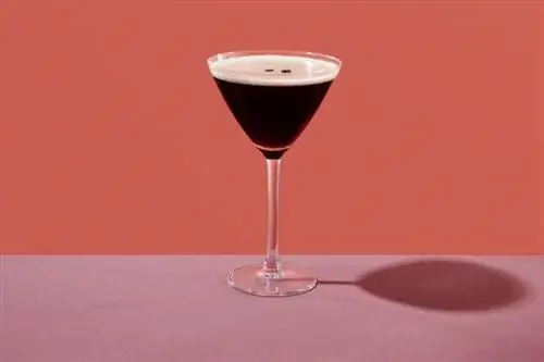 Mga Recipe ng Espresso Martini na Magsisimula sa Iyong Gabi