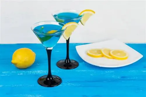 Mapishi 7 ya Martini ya Bluu kwa Cocktail Ya kuvutia Macho
