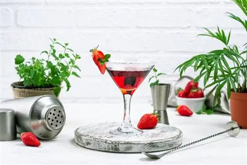 13 Strawberry Martinis: การผสมผสานค็อกเทลที่หอมหวานที่สุด