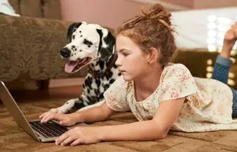 Pige bruger bærbar computer