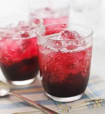 Ruby Red Gin Fizz