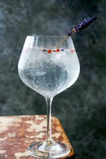 Coquetel refrescante de Gin e Tônica servido com ervas e espécies