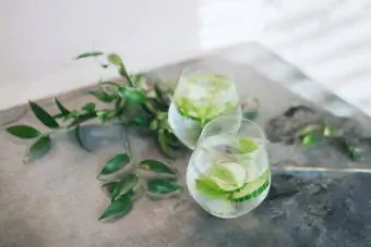 Copo refrescante de Gin e Tônica de Pepino