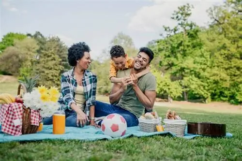 Guia definitivo de piquenique em família para diversão sem estresse