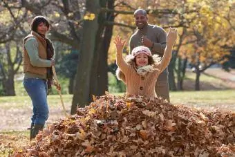 porodica grablja jesenje lišće