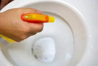 Gekapte hande skoonmaak toiletbak met spuitbottel