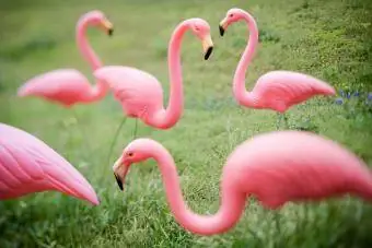 Flamingo hage ornamenter