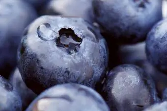 makrofoto af friske blåbær