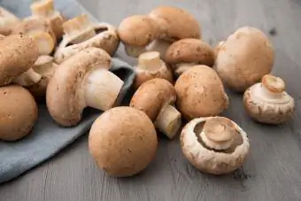 cremini-paddenstoelen
