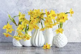Flors de narcís en gerros