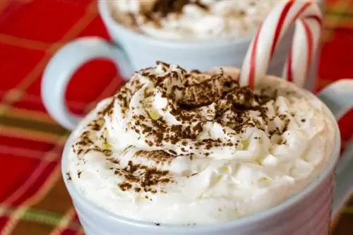 Whipped Cream Recipes