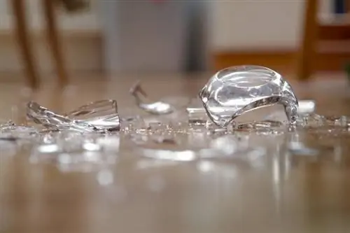 Hoe om gebreekte glas op vinnige & maklike maniere skoon te maak