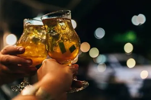 11 Gekruide Rum-cocktails met 'n kreatiewe skop