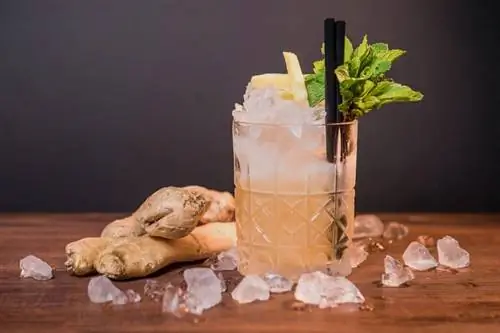 10 imbiero gėrimų kokteilių, kurie puikiai tinka