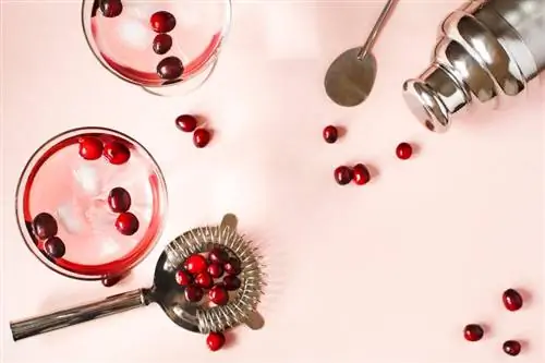 15 коктейла от червени боровинки, изпълнени със свеж вкус