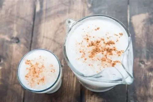 Cara Membuat RumChata di Rumah (Cara Mudah)