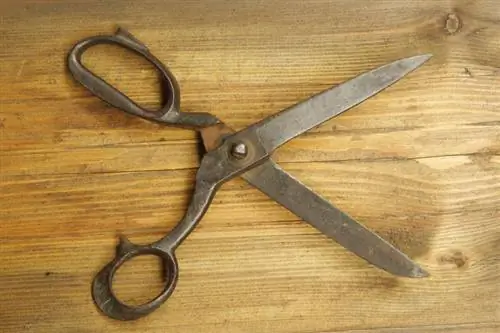 Въведение в античните ножици: Типове & Стойности