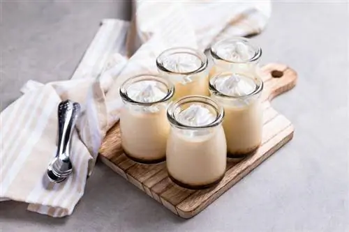 Pudding Shots: Helppoja ja hemmottelevia reseptejä