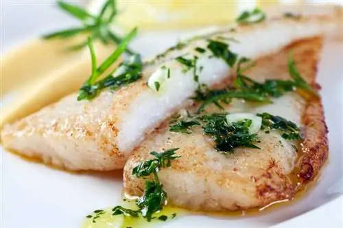 Filet of Sole Recipes