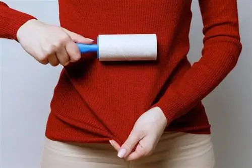 Paano Gumamit ng Lint Roller: Ang Mga Pangunahing Kaalaman + Mga Matalinong Hack