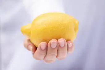 Hand hält Zitrone