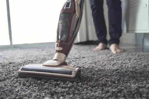 Kaip dažnai turėtumėte valyti kilimą? Trumpas vadovas