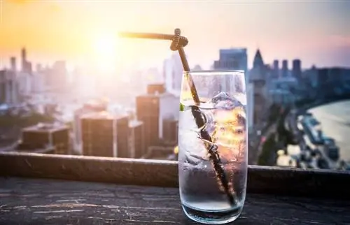 Sundowner-drankjes geïnspireerd door een smaakvolle traditie