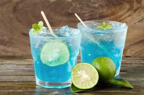 11 blå Curaçao-cocktails från Beachy till Elegant