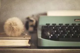 Machine à écrire Olivetti avec pissenlit