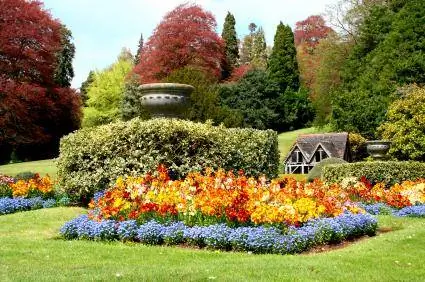İngiliz Bahçesi Çiçekleri