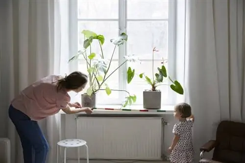 Skakel Feng Shui-afmetings om na duim