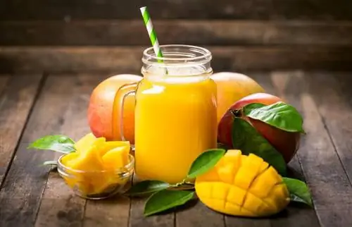 Ustvarjalni napitki z mangom Mocktail za mešanje