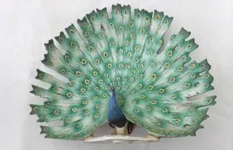 Goebel Peacock iliyojaa maji kabisa