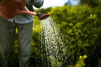 Mann bewässert Garten