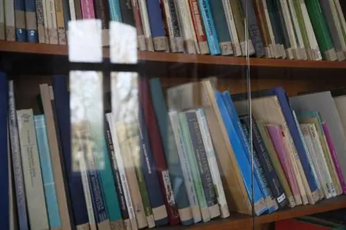האם ספרים צריכים להיות מאחורי זכוכית לפי הפנג שואי?